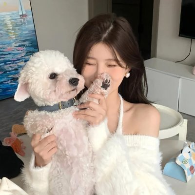 嫌猪手事件簿
